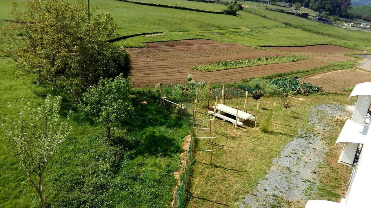 Albergue Montoto Melide Bagian luar foto